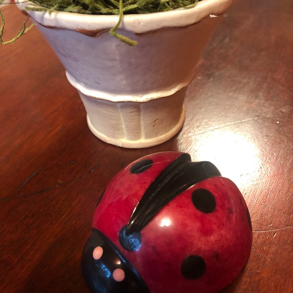 Ladybug Alabaster Stone Paperweight from Barnes & Noble – Retired - NIB